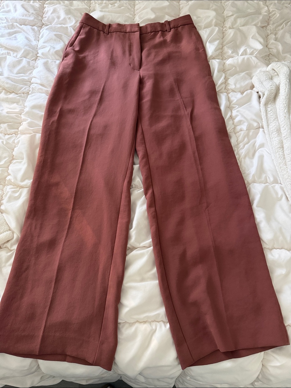 Aritzia Wide-Leg Pants in Rusty Rose